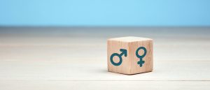 Gender Prioritization Principle and Criterion in Competition Agencies